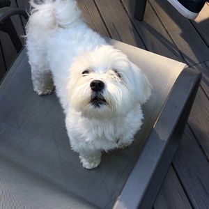 Meet your Posher, Scott